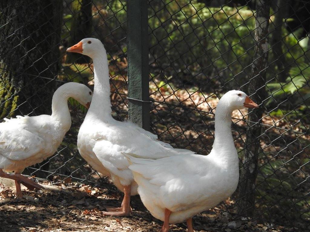 Encosta Dos Tuneis - Turismo E Lazer Sever do Vouga Exteriör bild