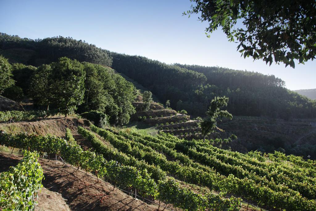 Encosta Dos Tuneis - Turismo E Lazer Sever do Vouga Exteriör bild